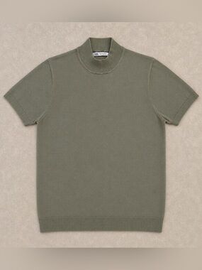 Zara Short Sleeve Mock Neck Knit Top in Olive